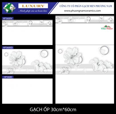 Gạch ốp cao cấp 30x60 cm