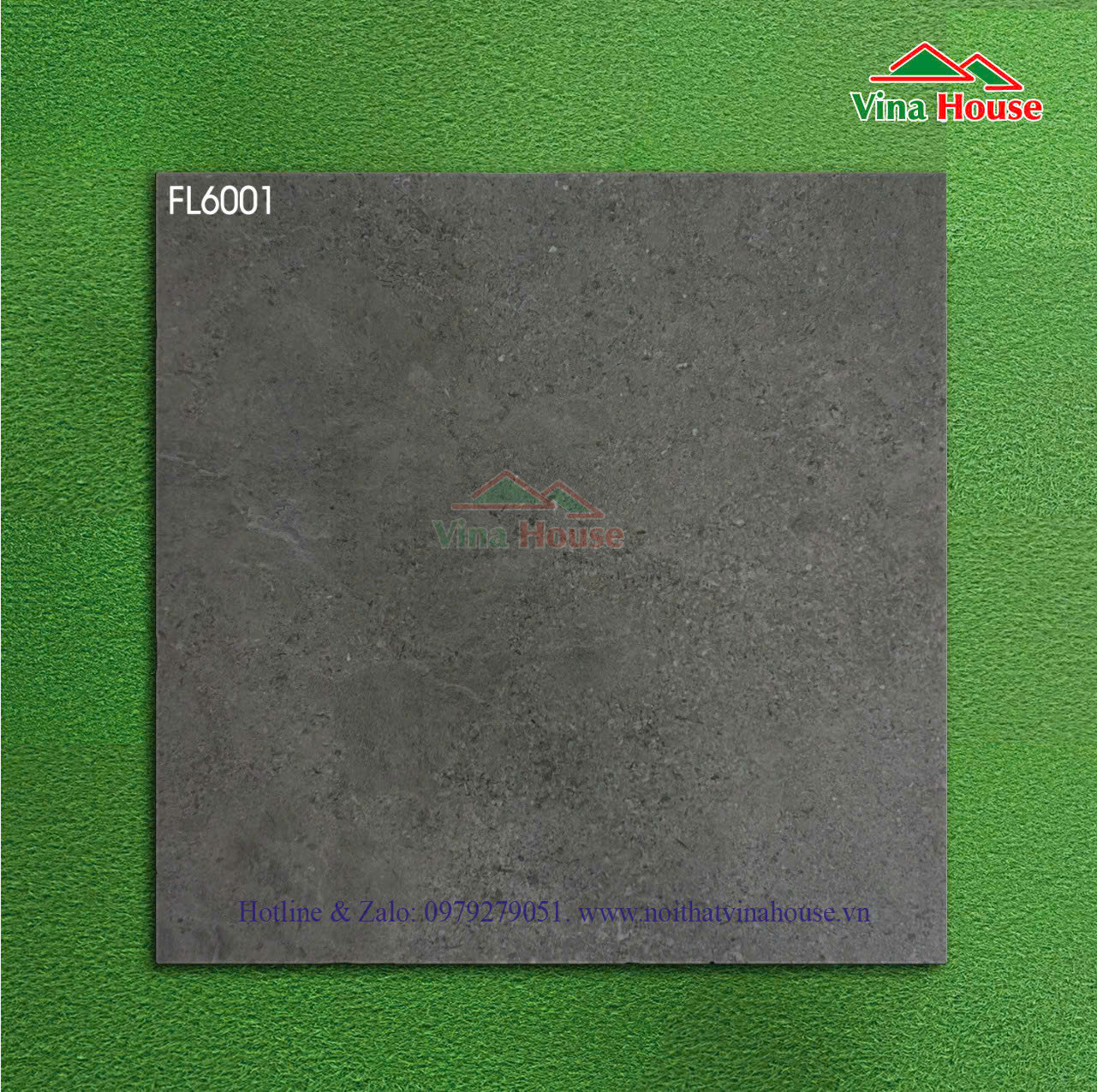 FL6001