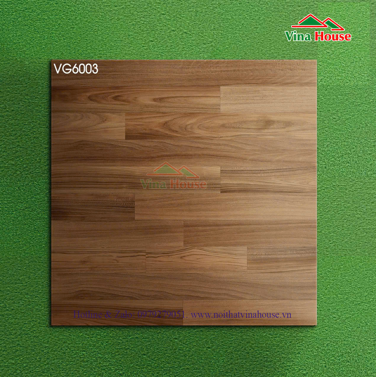 VG6003