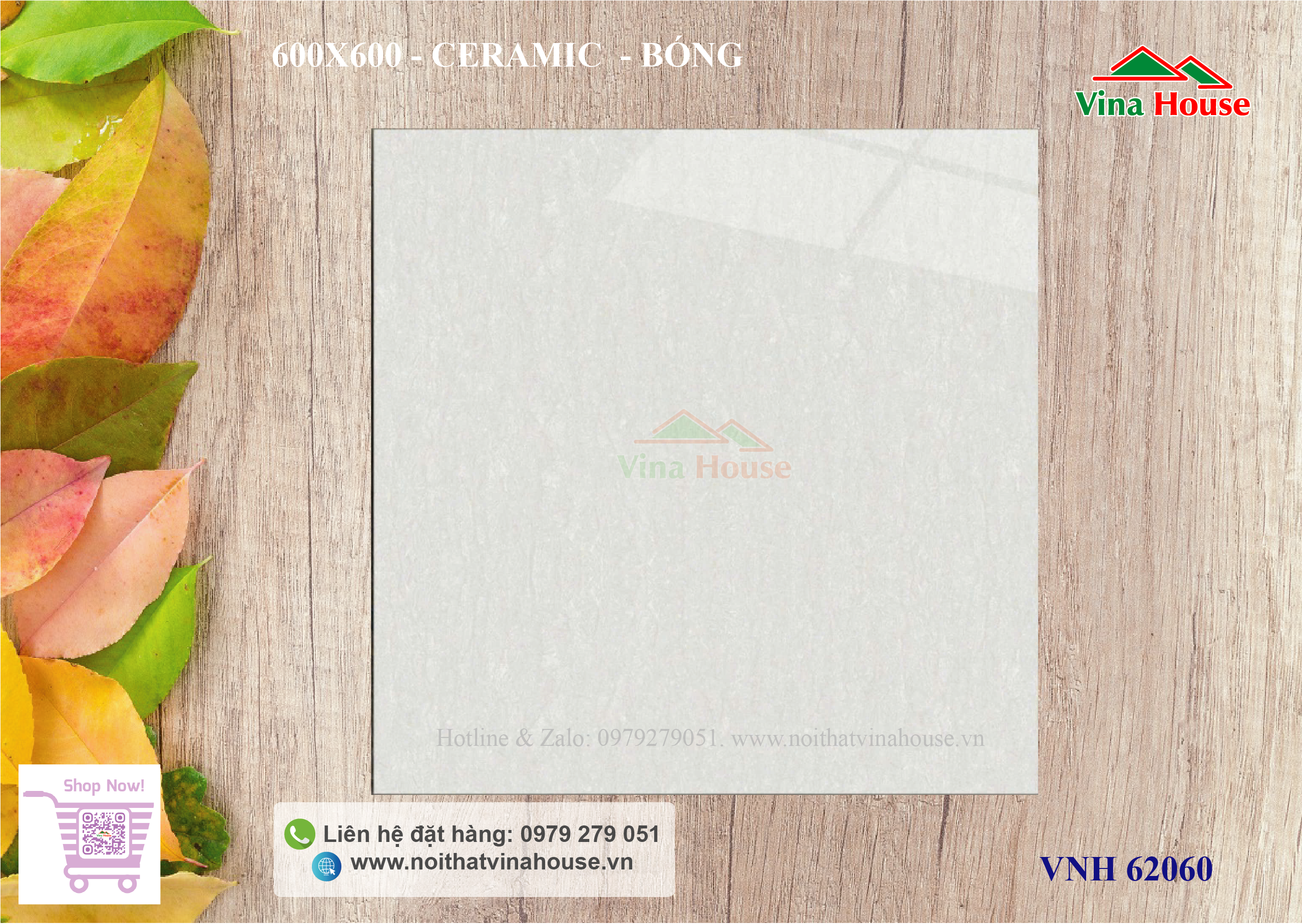 VNH62060