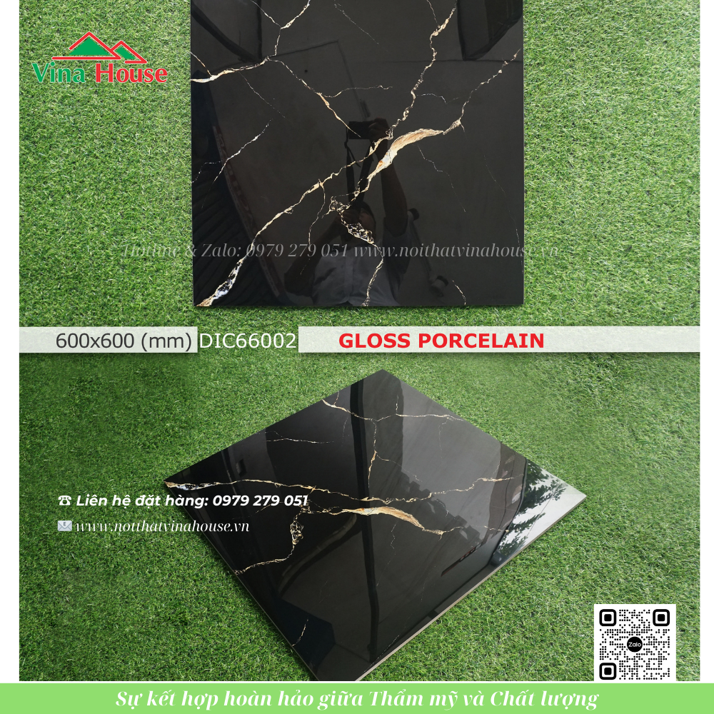 DIC66002