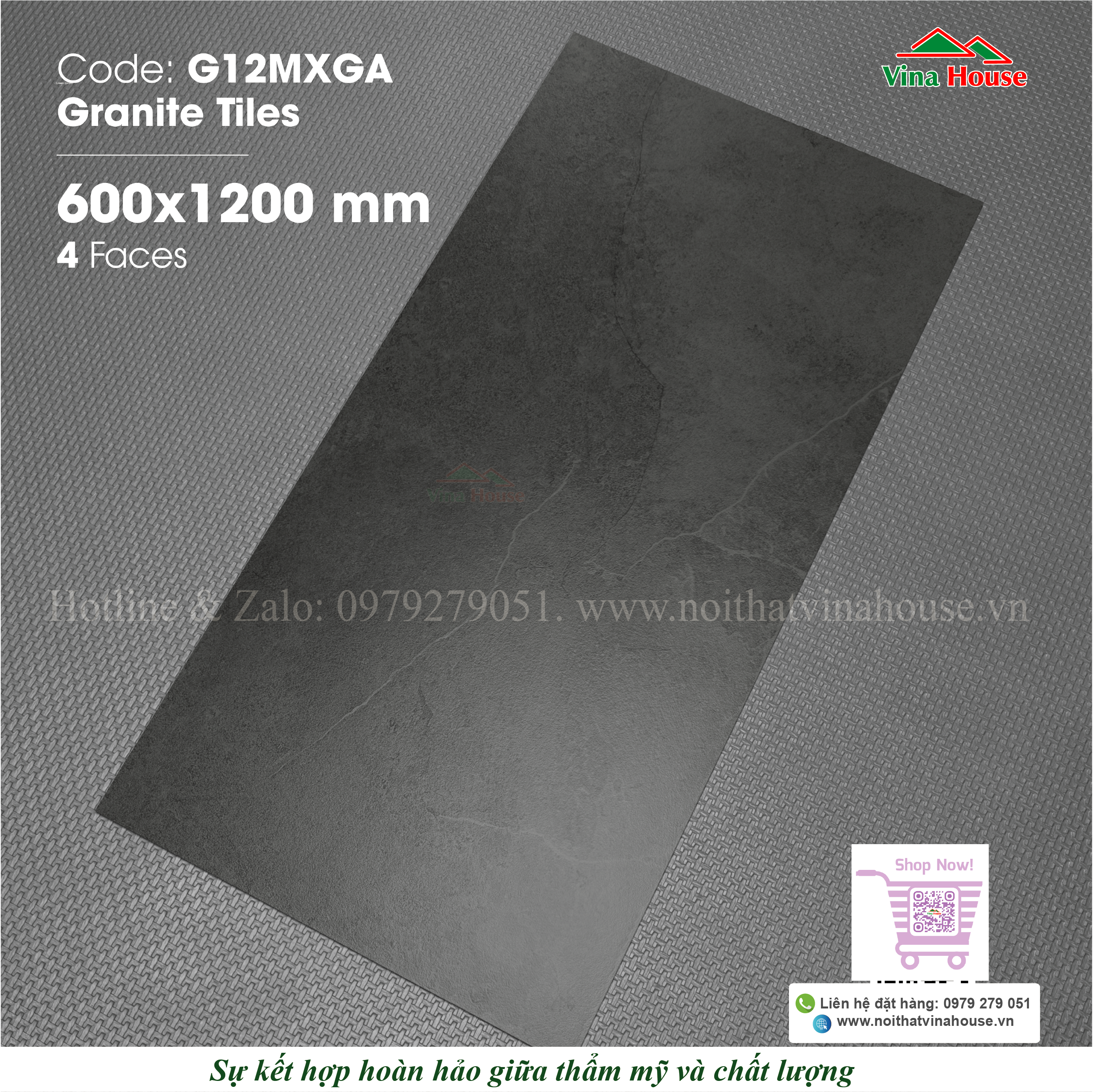 G12MXGA