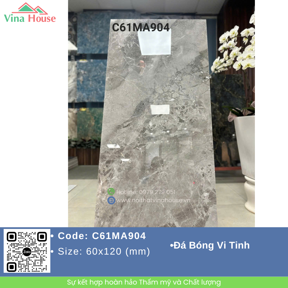 C61MA904