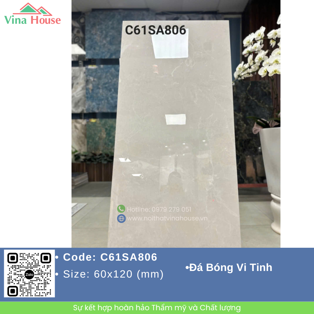 C61SA806