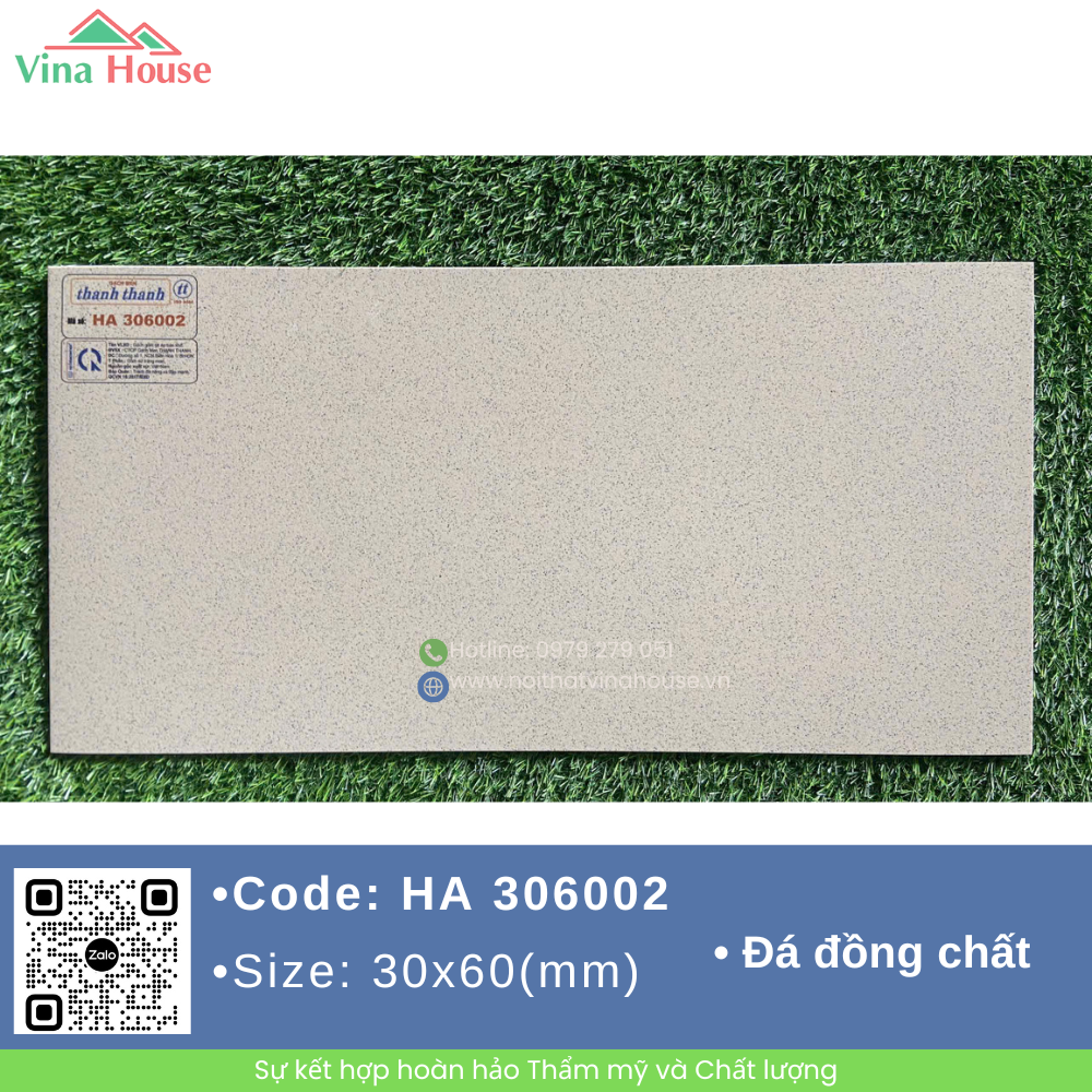HA 306002