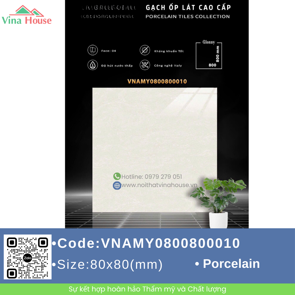 VNAMY0800800010