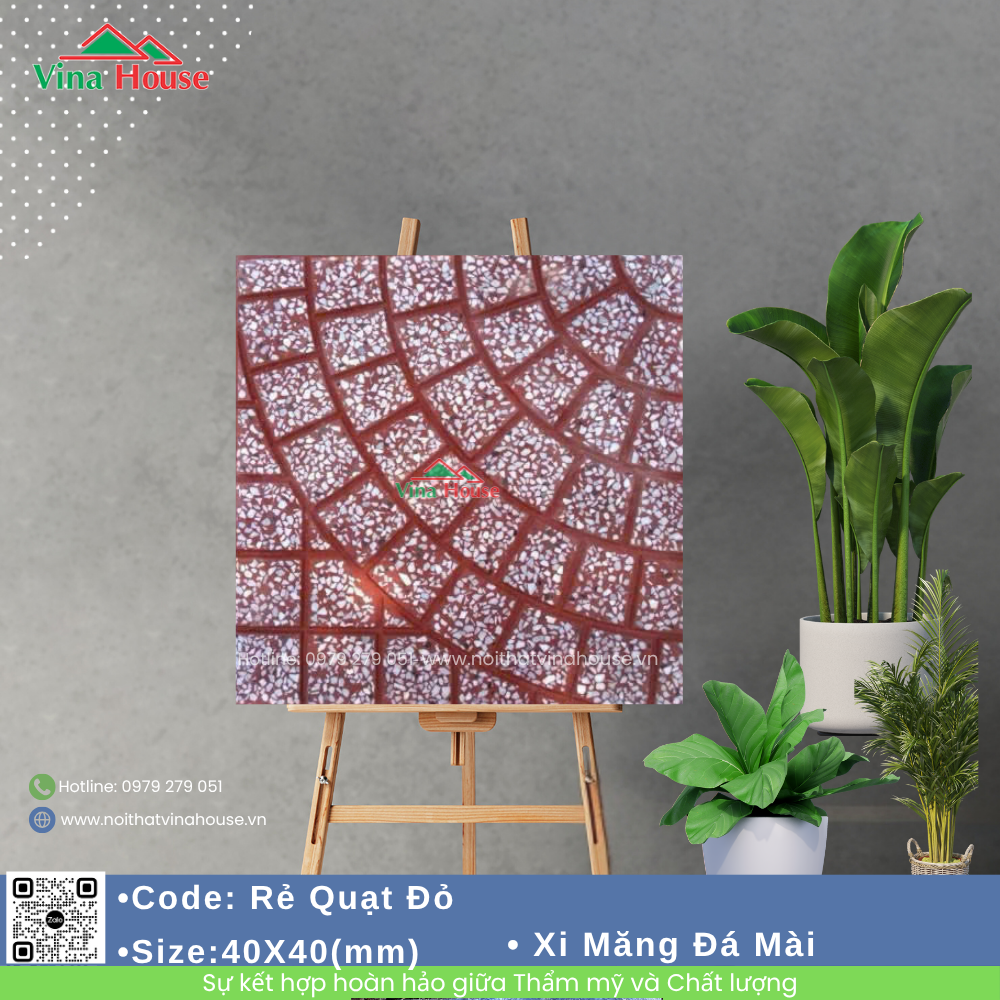 Rẻ Quạt Đỏ