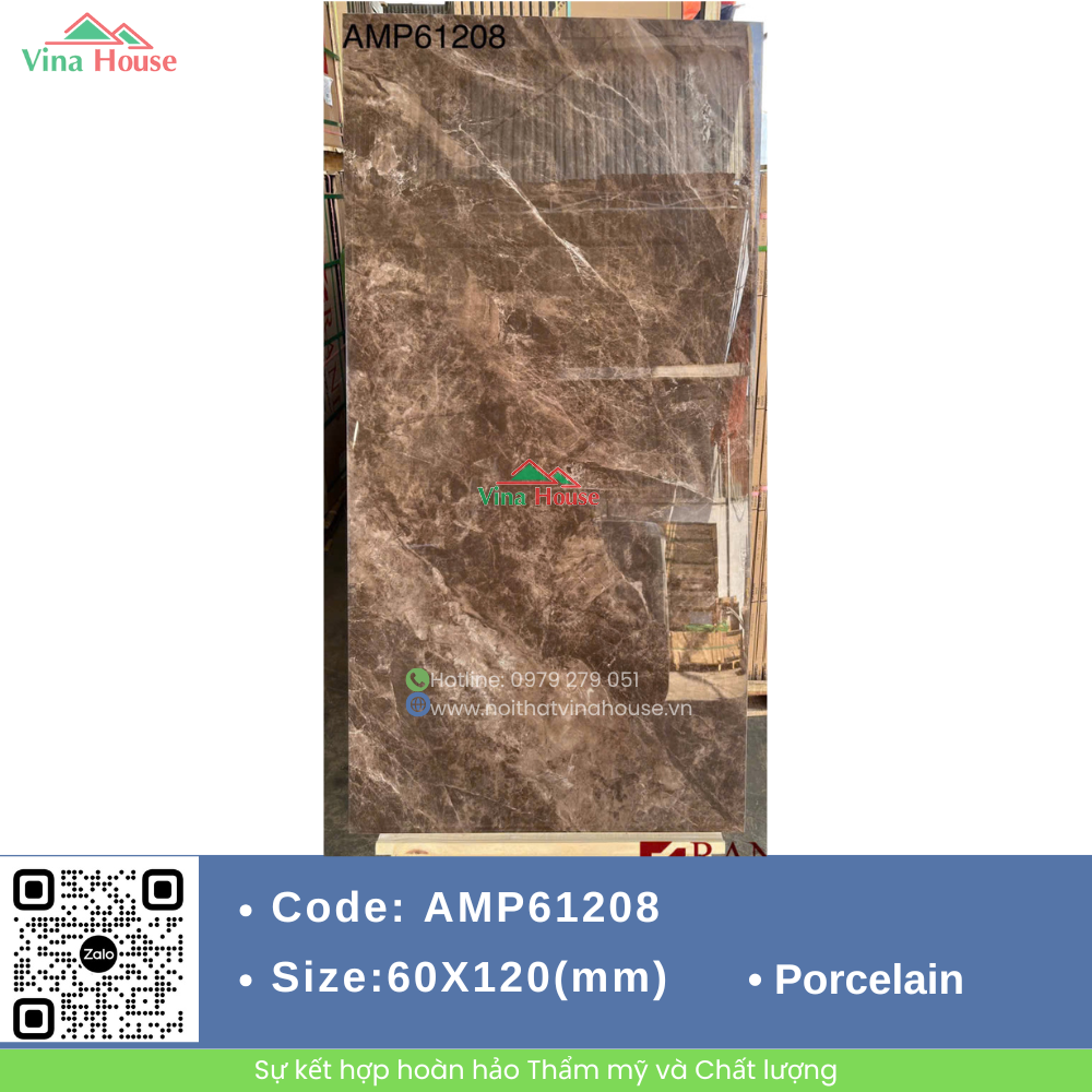AMP61208