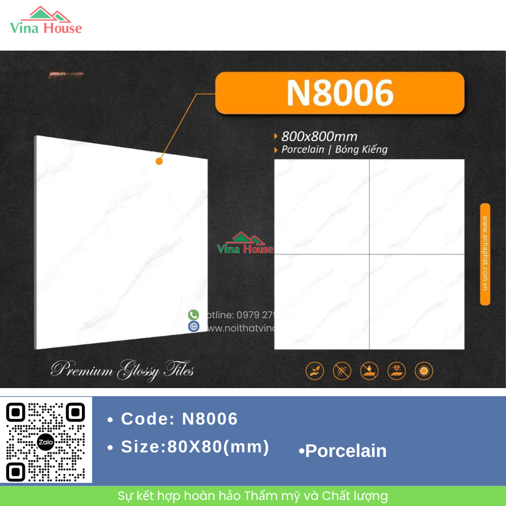 N8006