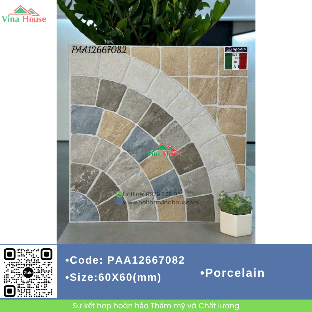 PAA12667082