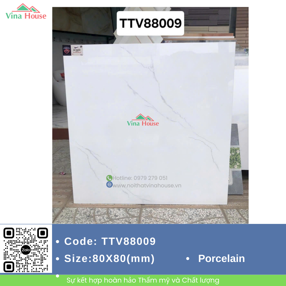 TTV88009