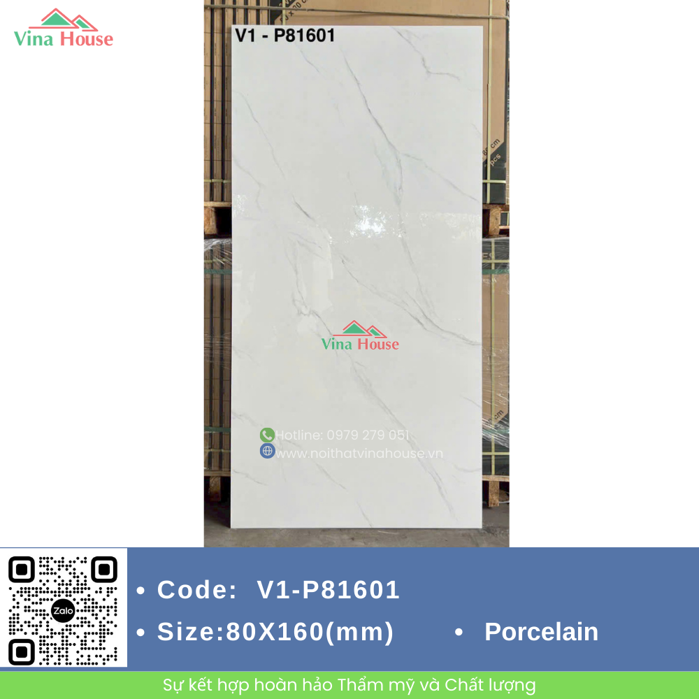 V1-P81601