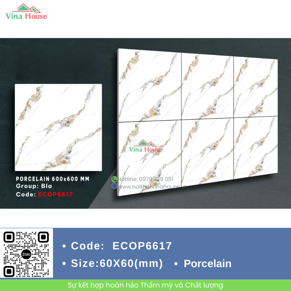 ECOP6617