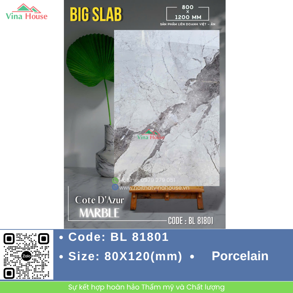 BL 81801