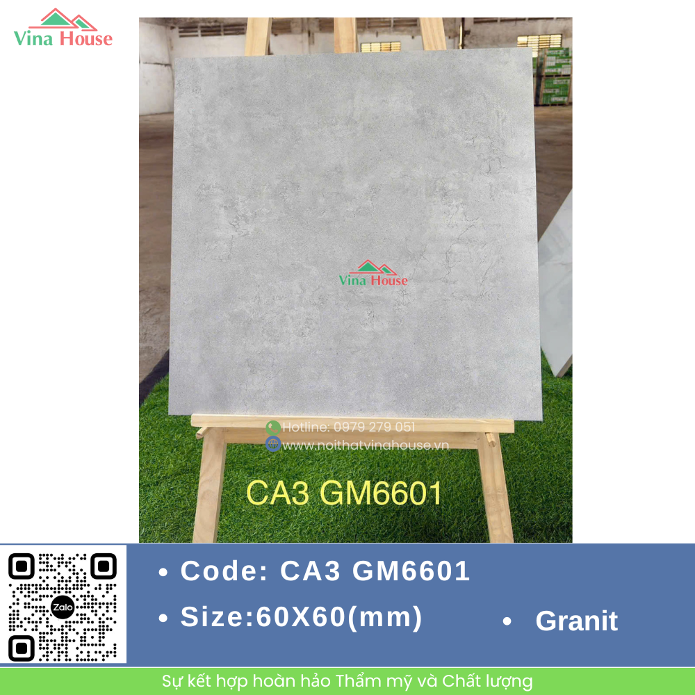 CA3 GM6601