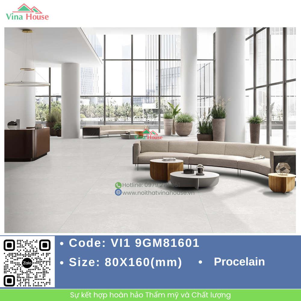VI1 9GM81601.1