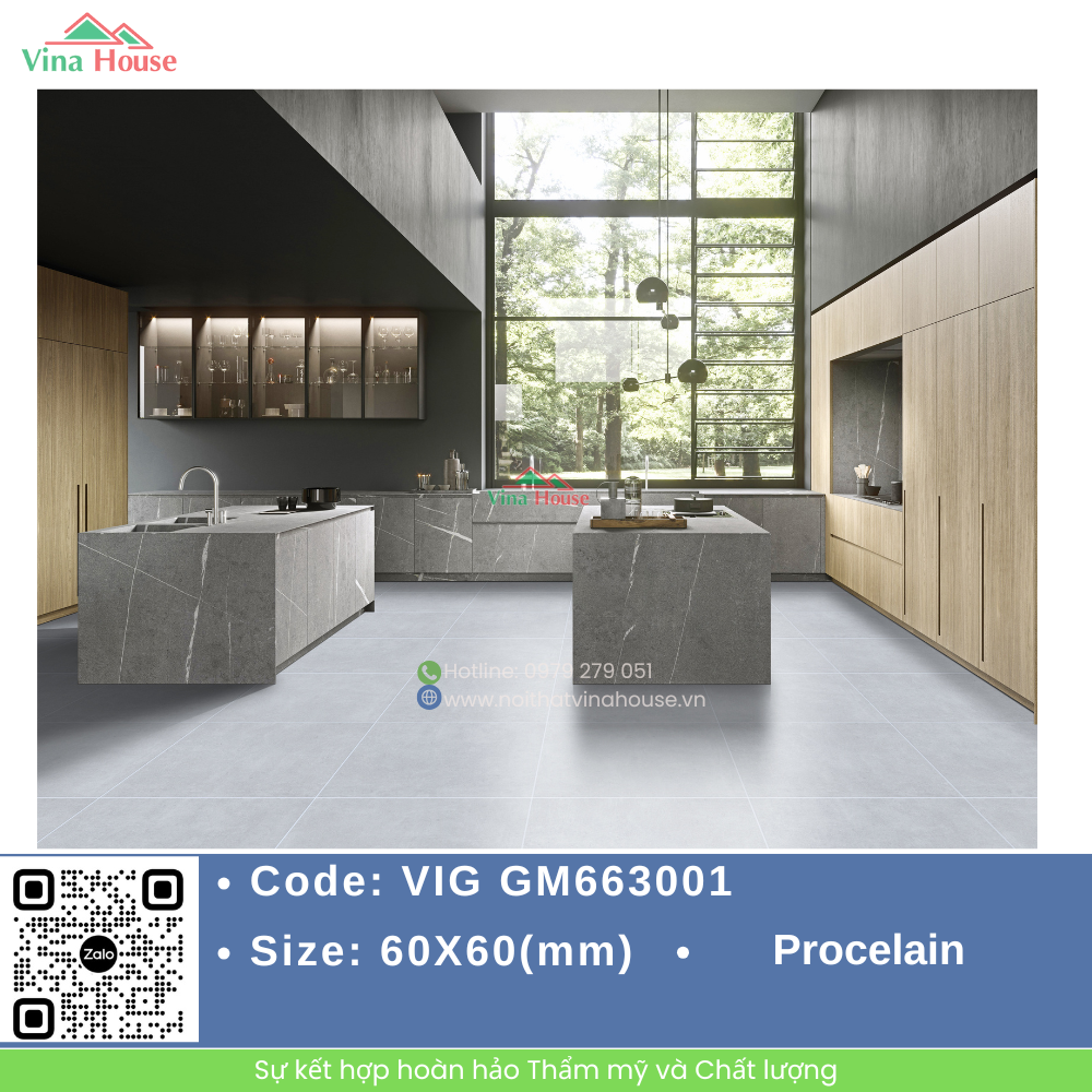 VIG GM663001.1
