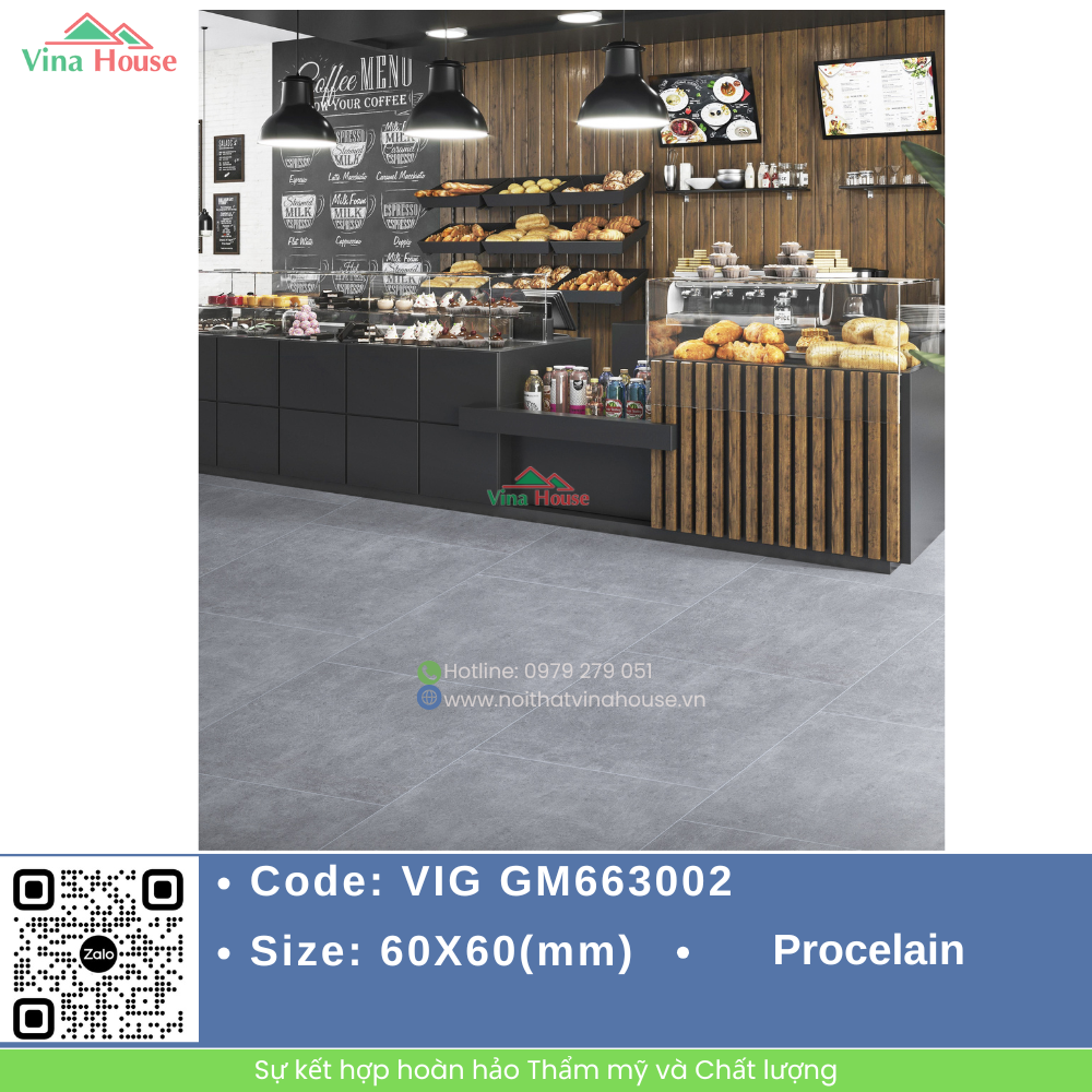 VIG GM663002.1