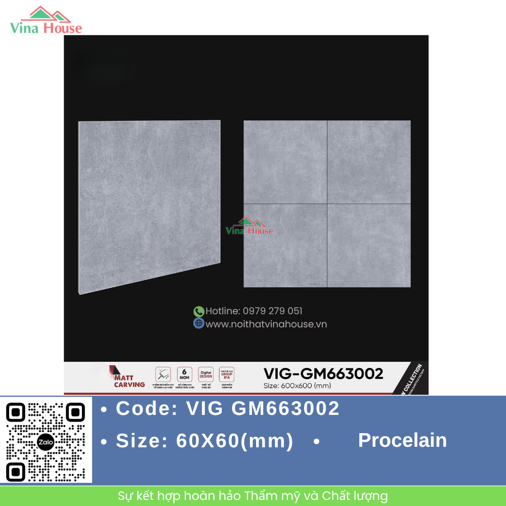 VIG GM663002