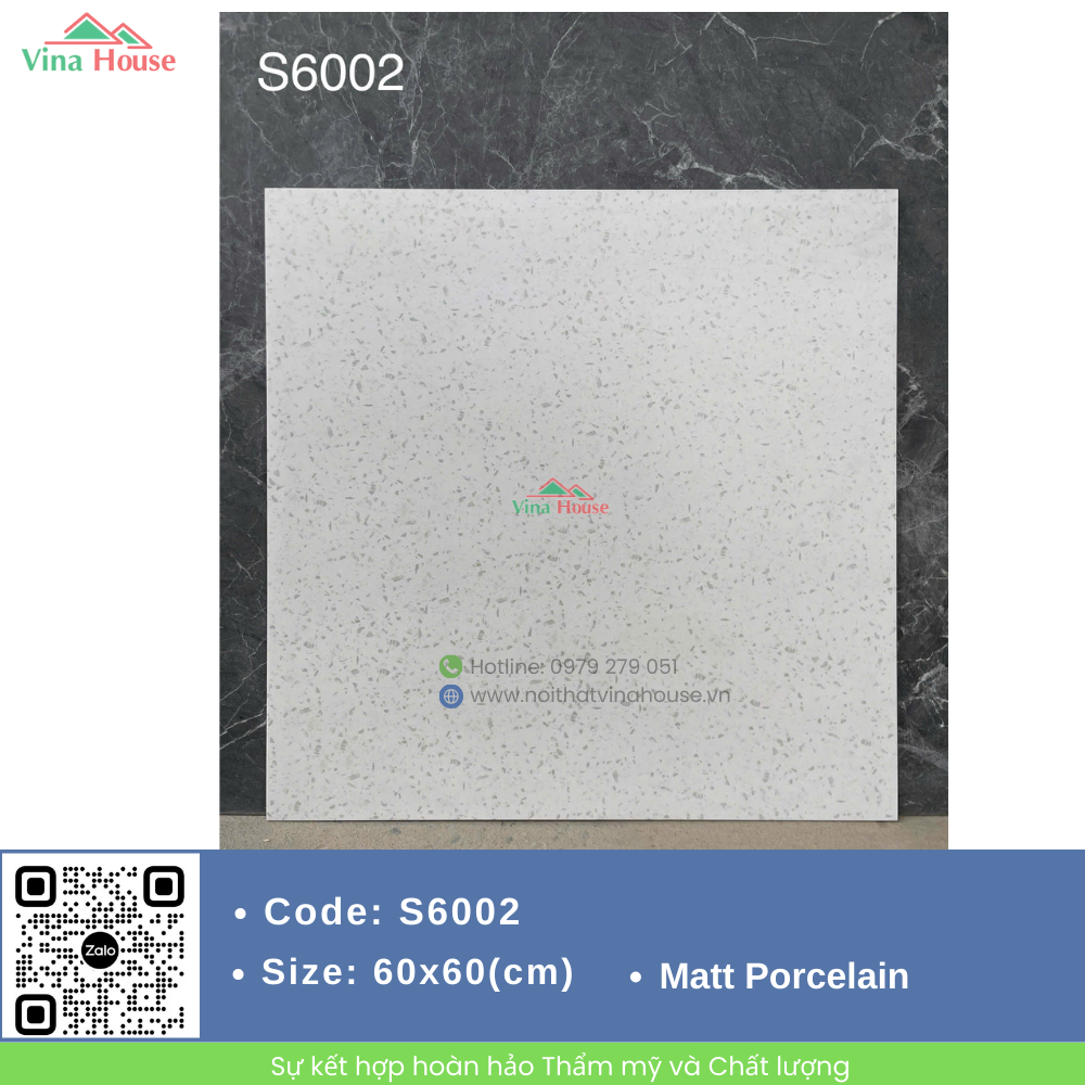S6002