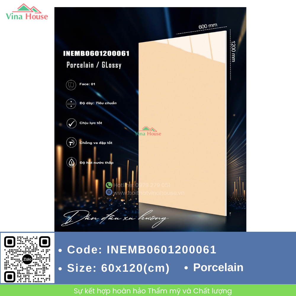 INEMB0601200061