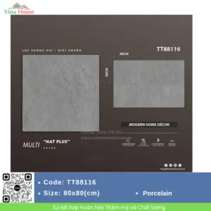  Gạch ốp lát 80x80 Trung Quốc TT88116 Mờ Mịn