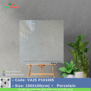 Gạch ốp lát 100x100 Viglacera VA25 P101005