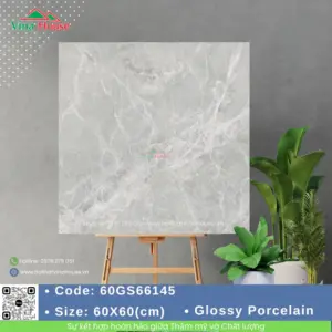 Gạch 60x60 Indonesia 60GS66145