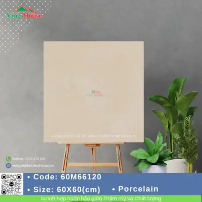 Gạch 60×60 Indonesia 60M66120