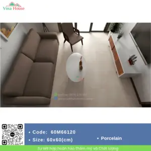 Gạch 60x60 Indonesia 60M66120
