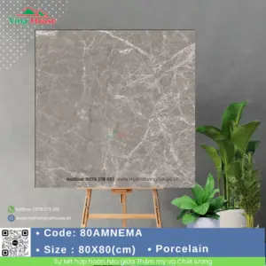 Gạch 80x80 Ấn Độ 80AMNEMA Matt