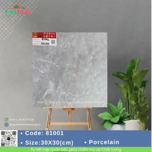 Gạch 30x30 Prime 81001 Matt