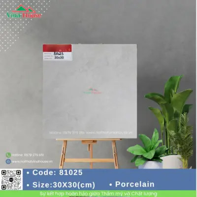 Gạch 30×30 Prime 81025 Matt
