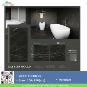 Gạch ốp lát 100x200 Trung Quốc HB10205 matt