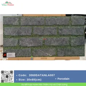 Gạch 30x60 Đồng Tâm 3060DATANLA007