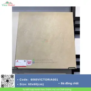 Gạch 60x60 Đồng Tâm 6060VICTORIA001