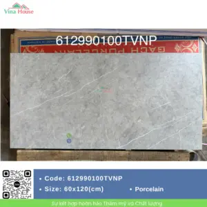 Gạch 60x120 Hoàng Gia 612990100TVNP