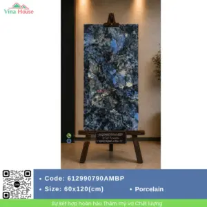 Gạch 60x120 Hoàng Gia 612990790AMBP