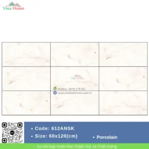 Gạch 60x120 Ấn Độ 612ANSK