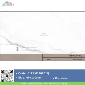 Gạch 60x120 Malaysia 612PM126601Q