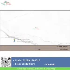 Gạch 60x120 Malaysia 612PM126601S