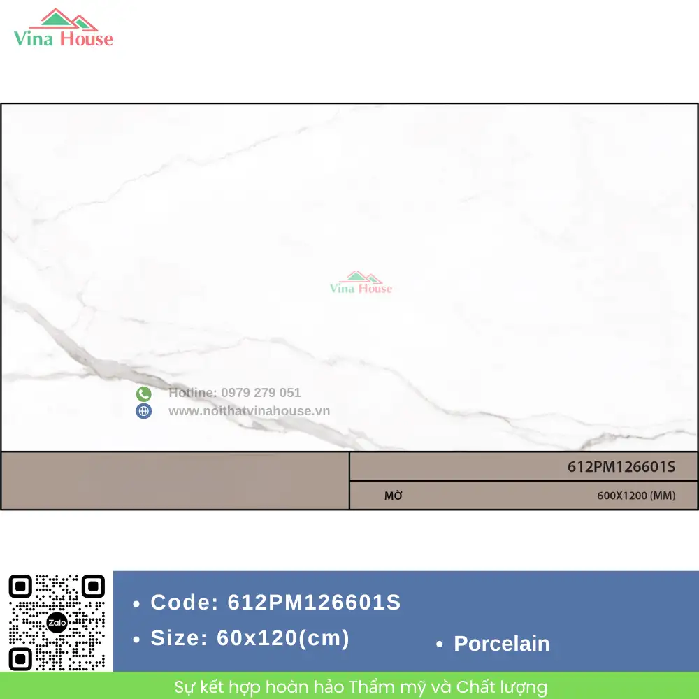 Gạch 60x120 Malaysia 612PM126601S