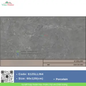 Gạch 60x120 Malaysia 612SLLIN4