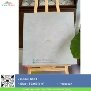 Gạch 60x60 Mikado 6501 mờ