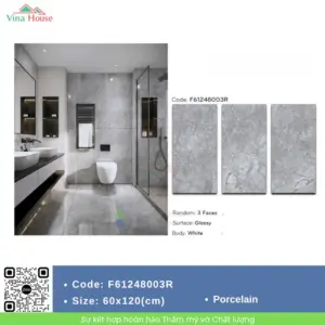 Gạch 60x120 Mikado F61248003R Bóng