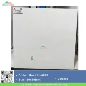 Gạch 60x60 Đồng Tâm HONKHOAI010