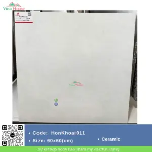 Gạch 60x60 Đồng Tâm HONKHOAI011