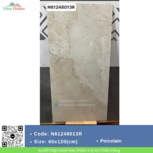 Gạch 60X120 Mikado N61248013R Bóng
