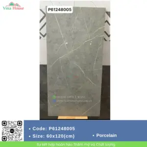 Gạch 60x120 Mikado P61248005 Bóng