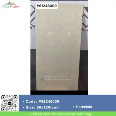 Gạch 60×120 Mikado P61248009 Bóng